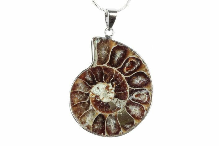 Fossil Ammonite Pendant - Million Years Old #238513